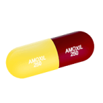amoxil